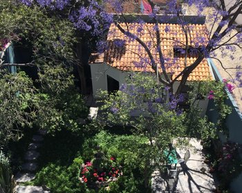 SAN JUAN LOFT #2 | AVAILABLE  – San Miguel de Allende real estate photo 2