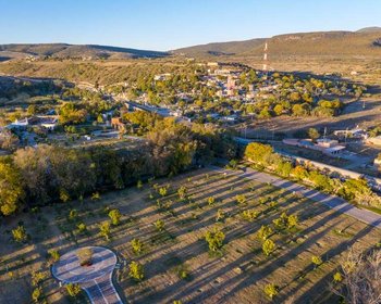 Avocado Orchards – San Miguel de Allende real estate photo 2