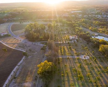 Avocado Orchards – San Miguel de Allende real estate photo 3
