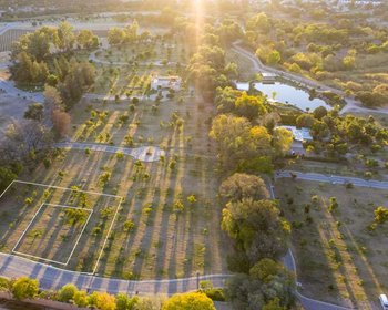 Avocado Orchards – San Miguel de Allende real estate photo 1