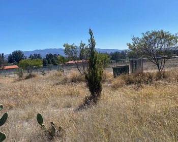  – San Miguel de Allende real estate photo 1