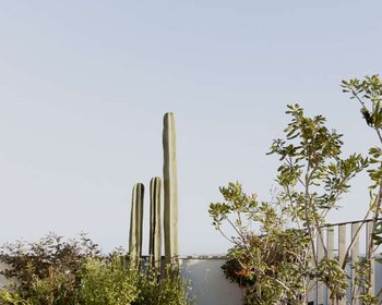 Indigo 8 – San Miguel de Allende real estate photo 2