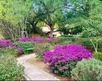 Casa Potranca en el Parque Guadiana – San Miguel de Allende real estate photo 4