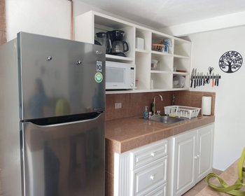 One bedroom apartment in Centro  – San Miguel de Allende real estate photo 4
