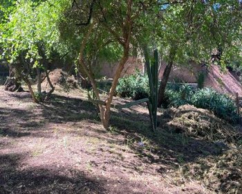 LOTE 4 CAÑADITA DE  LOS AGUACATES – San Miguel de Allende real estate photo 3