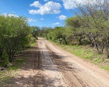  Bordito Lot – San Miguel de Allende real estate photo 2