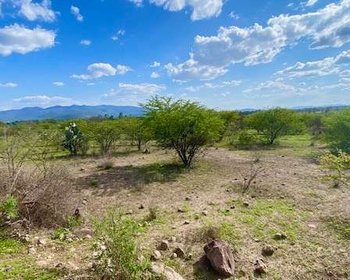  Bordito Lot – San Miguel de Allende real estate photo 4