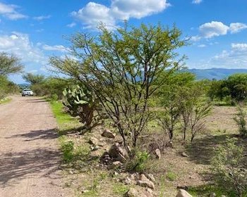  Bordito Lot – San Miguel de Allende real estate photo 3