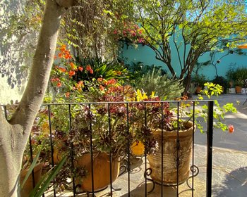 Casa Yerbabuena en renta en la colonia San Antonio – San Miguel de Allende real estate photo 1