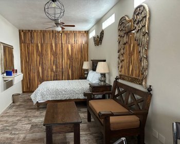  – San Miguel de Allende real estate photo 3