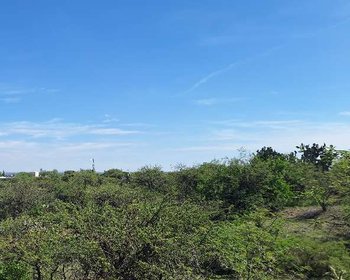 Terreno Montecillo de la Milpa – San Miguel de Allende real estate photo 1