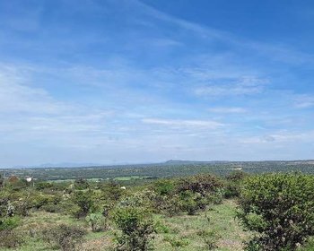 Terreno Montecillo de la Milpa – San Miguel de Allende real estate photo 4