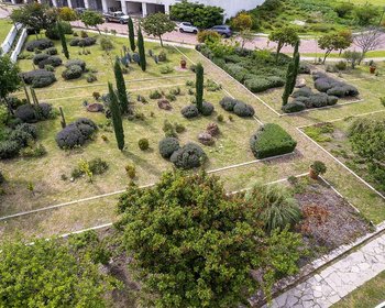 Primavera Lotes – San Miguel de Allende real estate photo 4