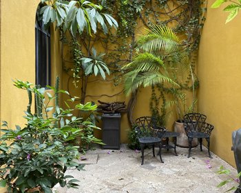 – San Miguel de Allende real estate photo 2