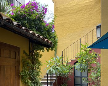  – San Miguel de Allende real estate photo 1