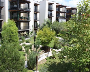  – San Miguel de Allende real estate photo 2