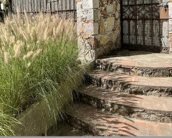 Vida en el campo a 25 minutos de la ciudad – San Miguel de Allende real estate photo 2