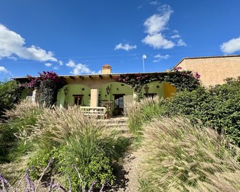 Vida en el campo a 25 minutos de la ciudad – San Miguel de Allende real estate photo 3