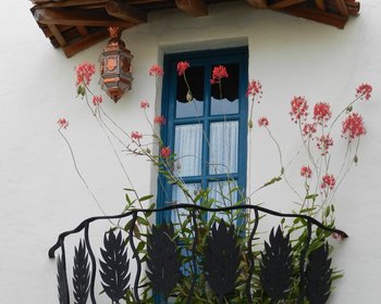  – San Miguel de Allende real estate photo 2