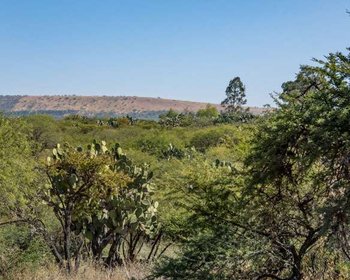 Lote Vista los Picachos  – San Miguel de Allende real estate photo 4