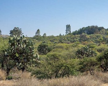 Lote Vista los Picachos  – San Miguel de Allende real estate photo 3