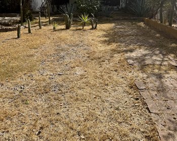  – San Miguel de Allende real estate photo 4