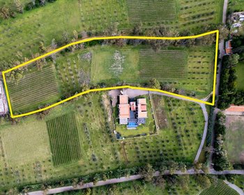 Lote Santa Julieta – San Miguel de Allende real estate photo 4