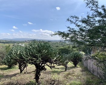 Escapate a la tranquilidad! El terreno con el que siempre haz soñado te espera! – San Miguel de Allende real estate photo 2