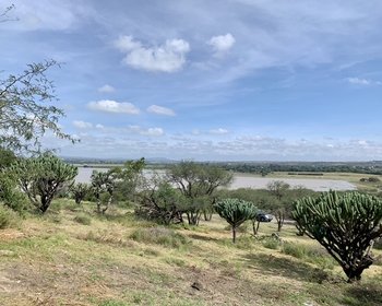 Escapate a la tranquilidad! El terreno con el que siempre haz soñado te espera! – San Miguel de Allende real estate photo 3
