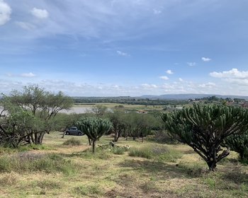 Escapate a la tranquilidad! El terreno con el que siempre haz soñado te espera! – San Miguel de Allende real estate photo 4