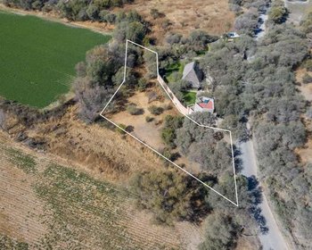 Lote Mezquite  – San Miguel de Allende real estate photo 4