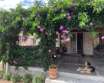 Retiro Rural DU: Autosostenible – San Miguel de Allende real estate photo 2
