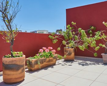 Casa Tenerias – San Miguel de Allende real estate photo 1