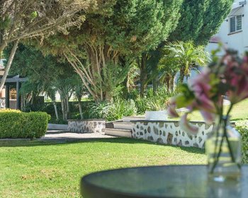 CONDO INGRID – San Miguel de Allende real estate photo 4