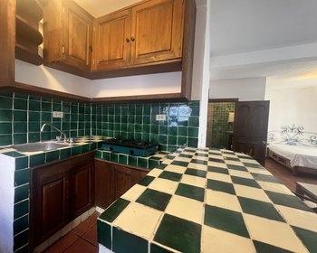  – San Miguel de Allende real estate photo 3