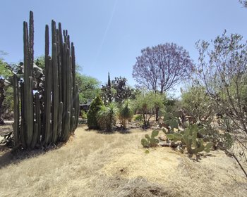 Privada San Jose – San Miguel de Allende real estate photo 4