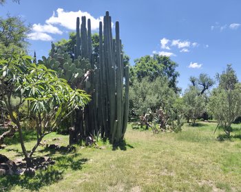 Privada San Jose – San Miguel de Allende real estate photo 3