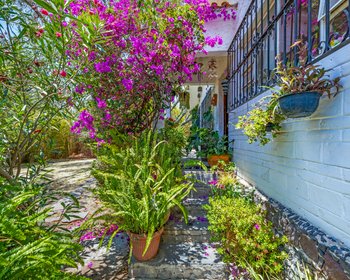 Casa La Chiquita  – San Miguel de Allende real estate photo 1