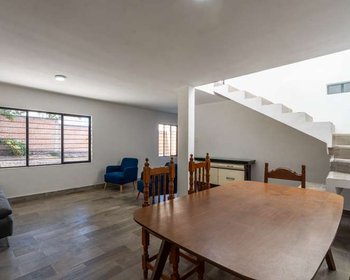 Lote Arbol – San Miguel de Allende real estate photo 4