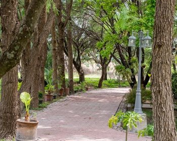 Casa Newell – San Miguel de Allende real estate photo 2