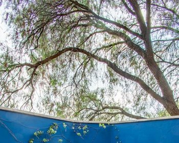 Casa Newell – San Miguel de Allende real estate photo 3