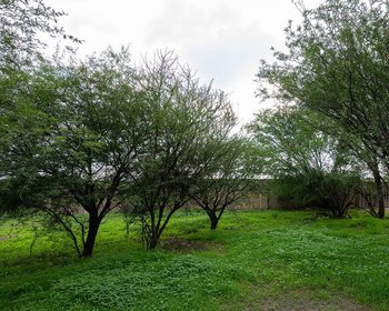 LOTE 1 MEXIQUITO – San Miguel de Allende real estate photo 1