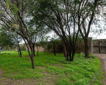 LOTE 1 MEXIQUITO – San Miguel de Allende real estate photo 3