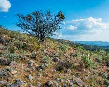 Lote Marroquín de abajo – San Miguel de Allende real estate photo 4