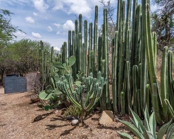 Casa Noah – San Miguel de Allende real estate photo 1