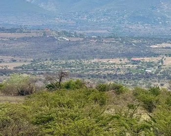 El Tigre Lot – San Miguel de Allende real estate photo 2