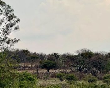 El Tigre Lot – San Miguel de Allende real estate photo 1