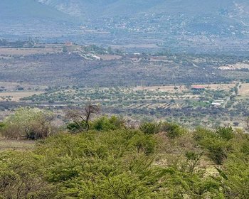 El Tigre Lot – San Miguel de Allende real estate photo 2