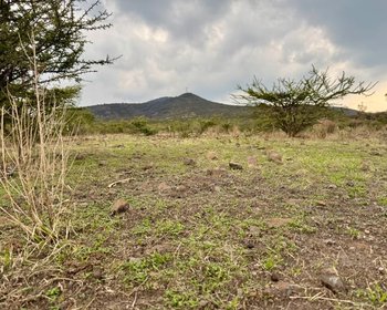 El Tigre Lot – San Miguel de Allende real estate photo 3