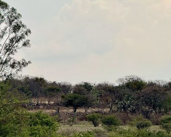 El Tigre Lot – San Miguel de Allende real estate photo 1